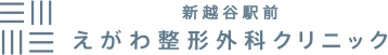 新越谷駅前えがわ整形外科クリニック
